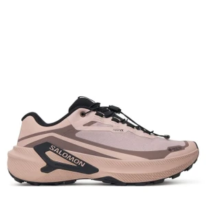 Obrázek produktu Běžecké boty Salomon Genesis 2 GORE-TEX L45388300 Růžová