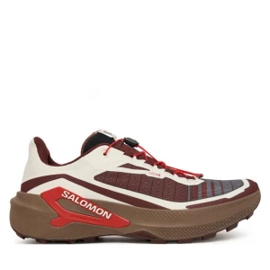 Obrázek produktu Běžecké boty Salomon Genesis 2 L45474200 Bordó
