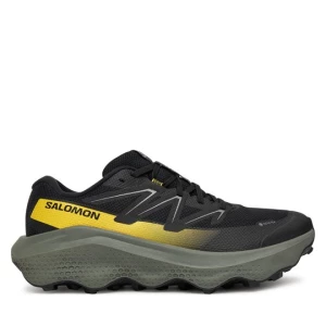 Obrázek produktu Běžecké boty Salomon Ultra Flow 2 Gore-Tex L47883200 Černá