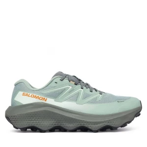 Obrázek produktu Běžecké boty Salomon Ultra Flow 2 Gtx GORE-TEX L45473900 Zelená
