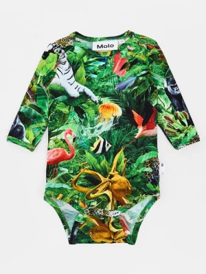 Obrázek produktu Body Molo zelená