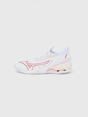 Obrázek produktu Boty na házenou Mizuno
