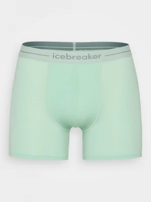 Obrázek produktu Boxerky Icebreaker zelená