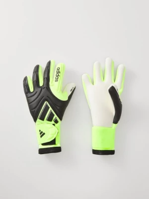 Obrázek produktu Brankářské rukavice adidas performance