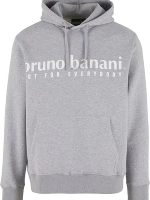 Obrázek produktu Bruno Banani Mikina šedá / bílá