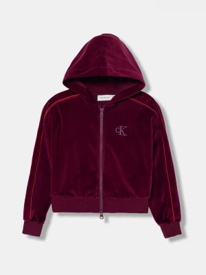 Obrázek produktu Calvin Klein Jeans Dětská mikina Calvin Klein Jeans burgundské
