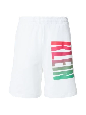 Obrázek produktu Calvin Klein Jeans Kalhoty 'PRIDE' světle zelená / bobule / oranžová / bílá