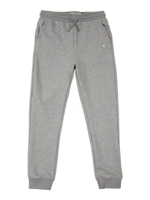 Obrázek produktu Calvin Klein Jeans Kalhoty šedá