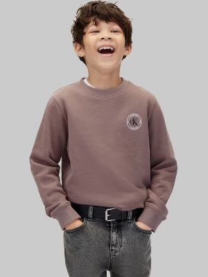 Obrázek produktu Calvin Klein Jeans mikina dětská bavlněná hnědá