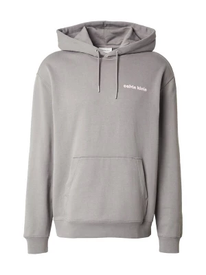 Obrázek produktu Calvin Klein Jeans Mikina kámen / bílá