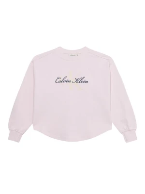 Obrázek produktu Calvin Klein Jeans Mikina krémová / marine modrá / šeříková