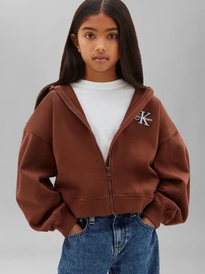 Obrázek produktu Calvin Klein Jeans mikina s kapucí dětská bavlněná hnědá