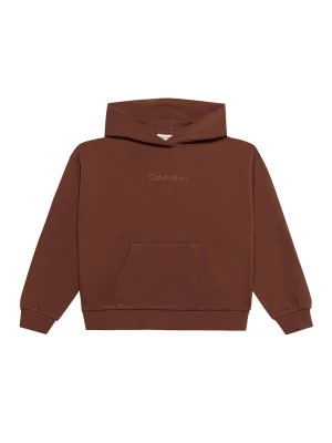 Obrázek produktu Calvin Klein Jeans Mikina tmavě hnědá / bílá
