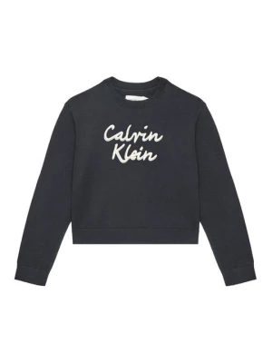 Obrázek produktu Calvin Klein Jeans Svetr IG0IG02971 D Černá Regular Fit