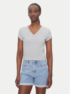 Obrázek produktu Calvin Klein Jeans T-Shirt LV047C910G Šedá Regular Fit