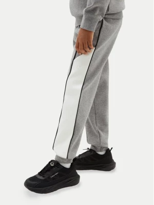 Obrázek produktu Calvin Klein Jeans Teplákové kalhoty LVCKTJC41B Šedá Regular Fit