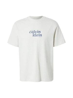 Obrázek produktu Calvin Klein Jeans Tričko 'Relaxed Logo' čedičová šedá / světle šedá
