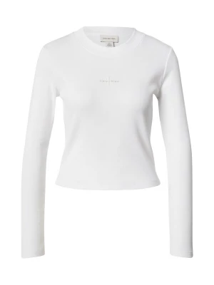 Obrázek produktu Calvin Klein Jeans Tričko šedá / bílá