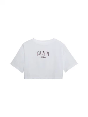 Obrázek produktu Calvin Klein Jeans Tričko tmavě růžová / bílá