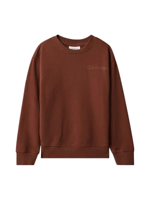 Obrázek produktu Calvin Klein Kids Mikina 'CALVIN KLEIN JEANS kids BACK PRINTCN SWEATSHIRT Maglieria' hnědá