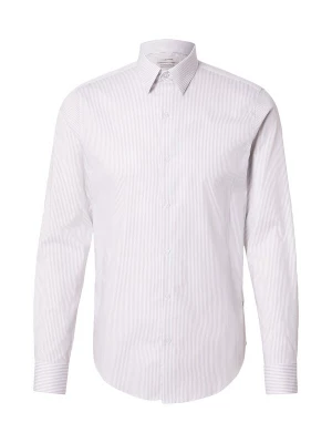 Obrázek produktu Calvin Klein Košile šedá / bílá