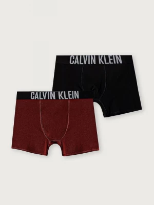 Obrázek produktu Calvin Klein Underwear boxerky dětské s bavlnou 2-pack černá