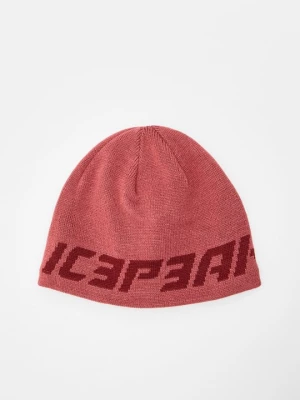 Obrázek produktu Čepice icepeak