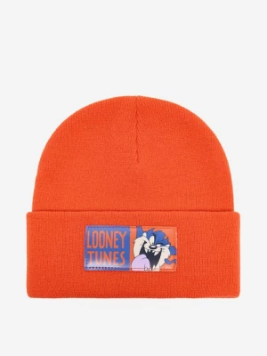 Obrázek produktu Čepice Looney Tunes