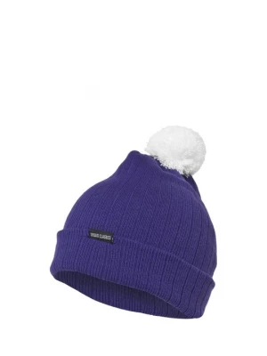 Obrázek produktu Čepice Urban Classics fialová