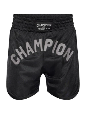 Obrázek produktu Champion Sportovní kalhoty šedá / černá