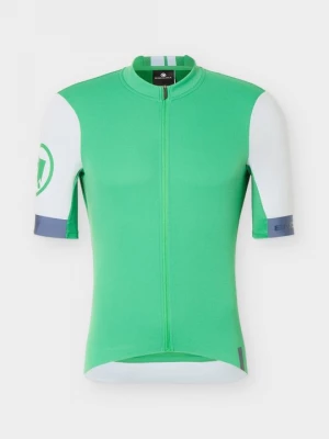 Obrázek produktu Cyklistický dres ENDURA zelená
