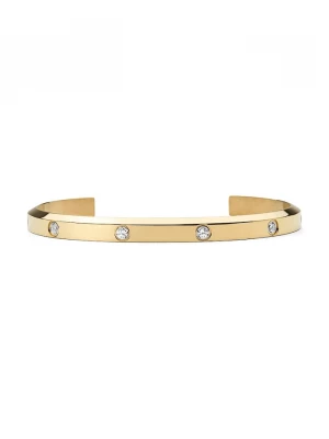 Obrázek produktu Daniel Wellington Náramek Daniel Wellington zlatá