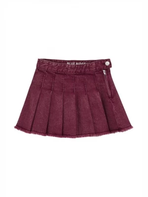 Obrázek produktu Denimová sukně WE Fashion bordeaux