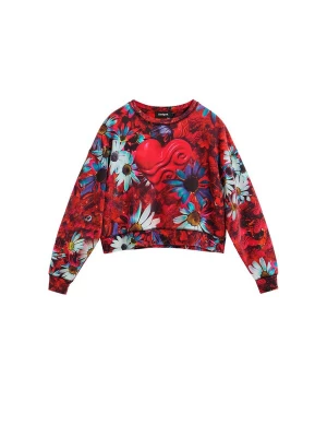 Obrázek produktu Desigual Mikina modrá / nebeská modř / červená
