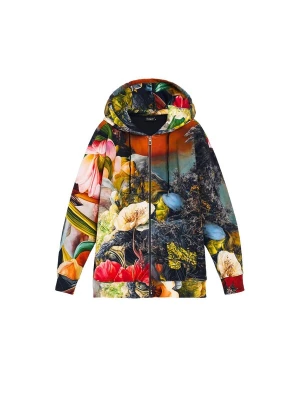 Obrázek produktu Desigual Mikina modrá / žlutá / tmavě zelená / červená