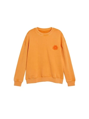 Obrázek produktu Desigual Mikina oranžová / červená