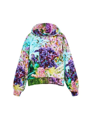 Obrázek produktu Desigual Mikina 'Wild Garden' mix barev