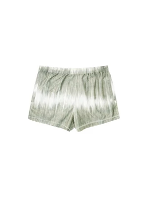 Obrázek produktu Desigual Plavecké šortky zelená / bílá