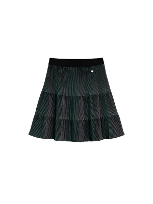 Obrázek produktu Desigual Sukně šedá / zelená / černá