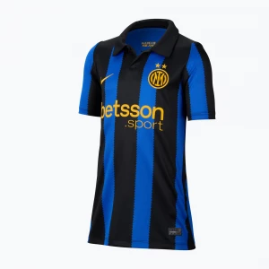 Obrázek produktu Dětské fotbalové tričko Nike Inter Milan Dri-Fit Stadium Home lyon blue / black / university gold