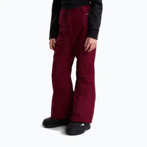 Obrázek produktu Dětské lyžařské kalhoty The North Face Freedom Insulated burgundy crush vínová