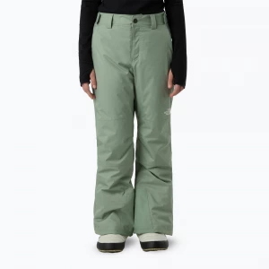 Obrázek produktu Dětské lyžařské kalhoty The North Face Freedom Insulated slate moss Zelená