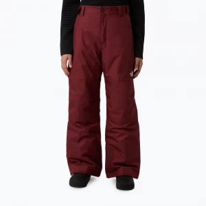 Obrázek produktu Dětské lyžařské kalhoty The North Face Freedom Insulated sumac vínová