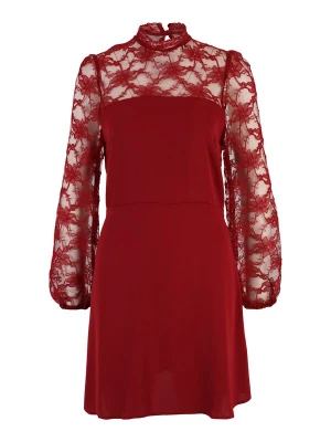 Obrázek produktu Dorothy Perkins Koktejlové šaty bordó