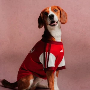 Obrázek produktu DRES PRO DOMÁCÍ ZVÍŘATA ARSENAL FC Adidas Better Scarlet