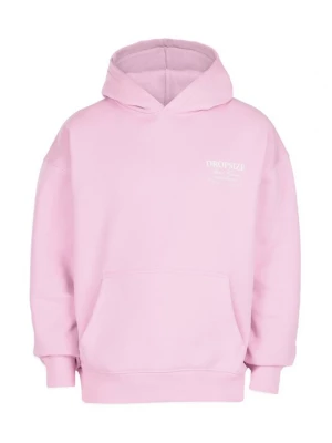 Obrázek produktu Dropsize Mikina 'Success' eosin / offwhite