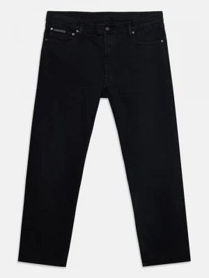 Obrázek produktu Džíny Straight Fit Calvin Klein černá