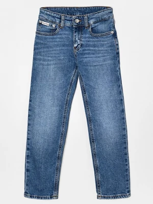 Obrázek produktu Džíny Straight Fit Calvin Klein Jeans kamenná