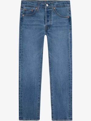 Obrázek produktu Džíny Straight Fit Levi's šedomodrý denim