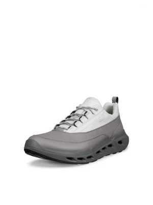 Obrázek produktu ECCO Tenisky 'Biom 720' šedá / offwhite